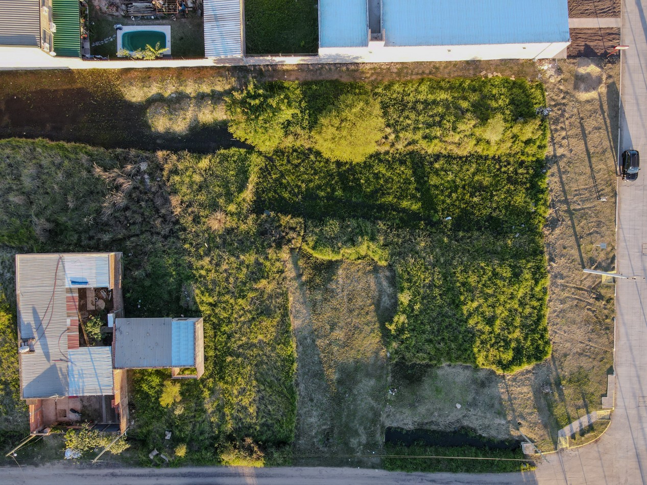 Terreno Sobre Av Asfaltada a 600 m de Ruta 11, Ideal Para Desarrollo.