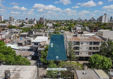 Terreno 11x40 (440 m²) en zona UNNE, apto edificio de hasta 6 plantas
